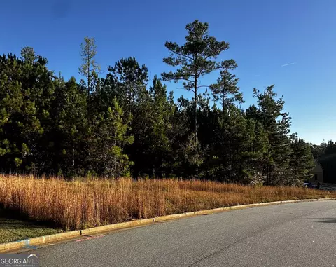 Undisclosed, Newnan, GA 30265