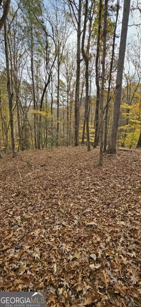 0 N Falling Waters Dr #LOT 32B, Demorest, GA 30535