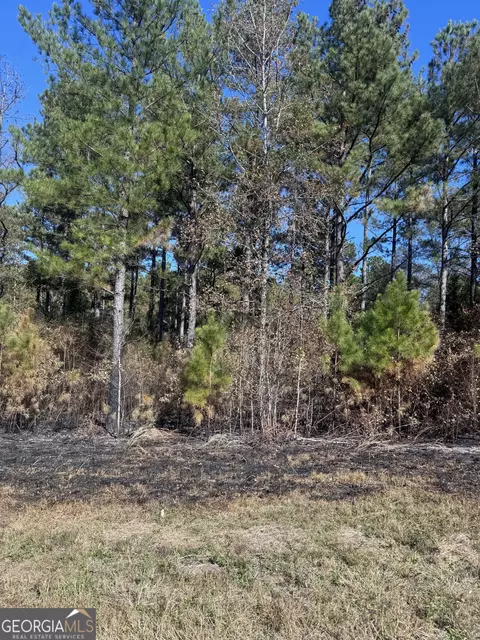 137 W Drummond Rd, West Point, GA 31833