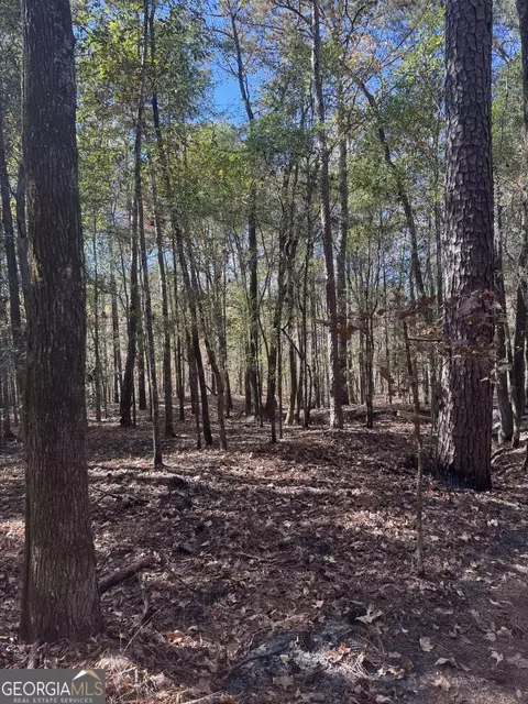 151 W Drummond Rd, West Point, GA 31833