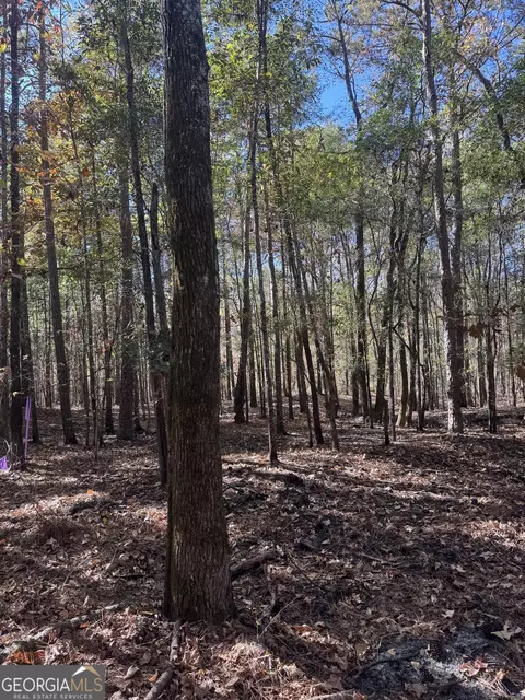 157 W Drummond Rd, West Point, GA 31833