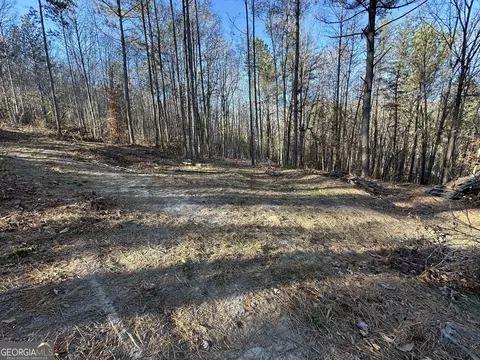 0 Wells Rd, Carnesville, GA 30521 photo 17