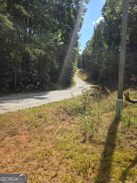 0 Wells Rd, Carnesville, GA 30521 photo 4