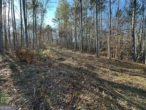 0 Wells Rd, Carnesville, GA 30521 photo 19