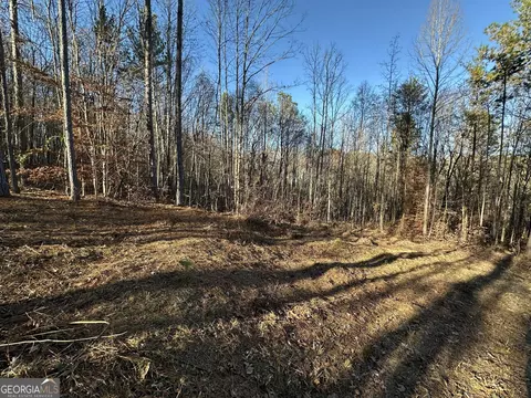 0 Wells Rd, Carnesville, GA 30521 photo 18