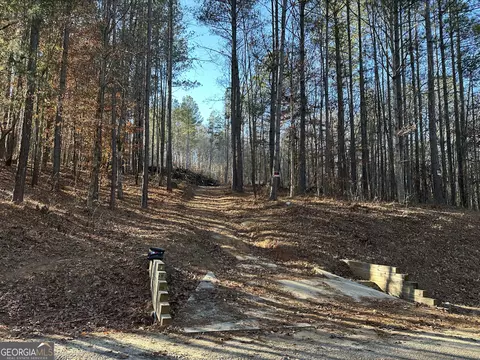 0 Wells Rd, Carnesville, GA 30521 photo 12