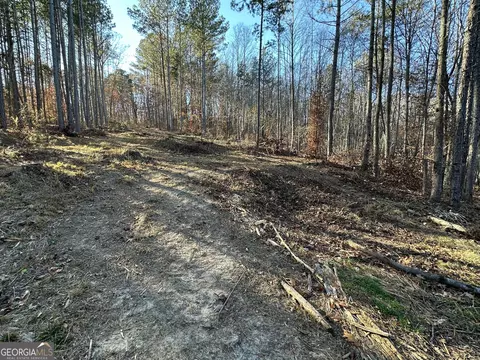 0 Wells Rd, Carnesville, GA 30521 photo 15