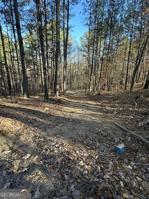 0 Wells Rd, Carnesville, GA 30521 photo 14