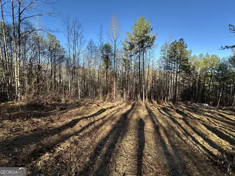 0 Wells Rd, Carnesville, GA 30521 photo 16
