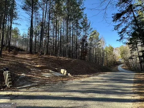 0 Wells Rd, Carnesville, GA 30521 photo 13
