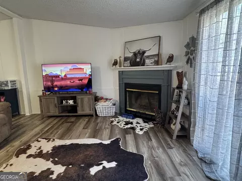 100 Lakeview Dr, Colbert, GA 30628 photo 3