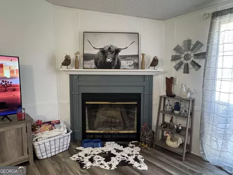 100 Lakeview Dr, Colbert, GA 30628 photo 5
