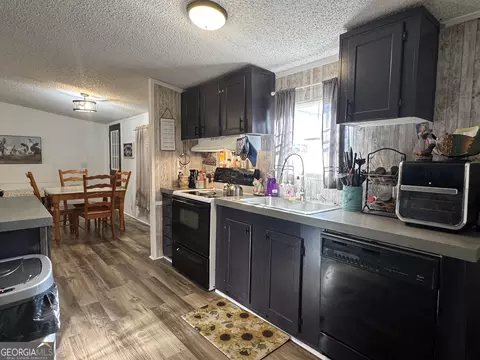 100 Lakeview Dr, Colbert, GA 30628 photo 6