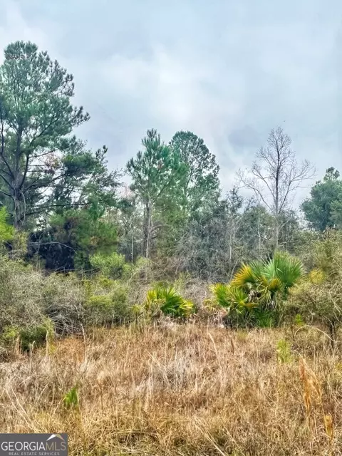 0 Highway 98, Perry, FL 32348 photo 4