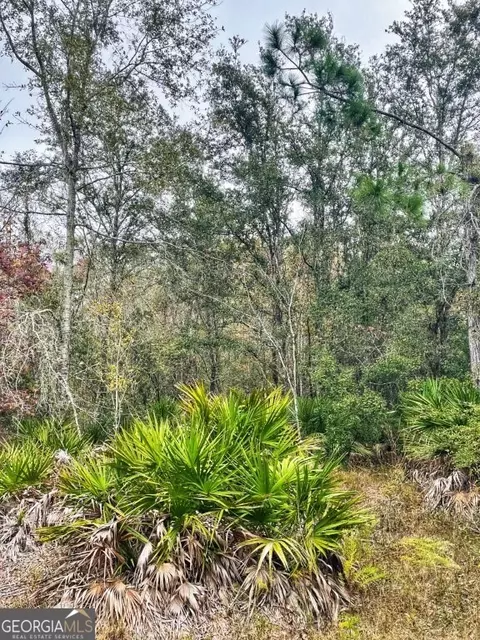 0 Highway 98, Perry, FL 32348 photo 12