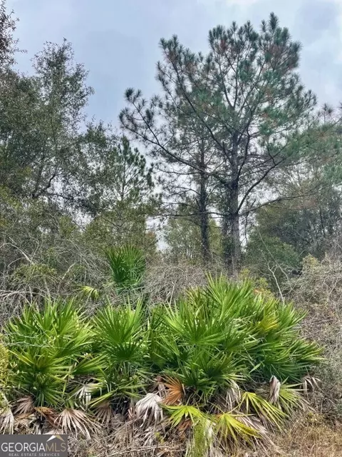 0 Highway 98, Perry, FL 32348 photo 10