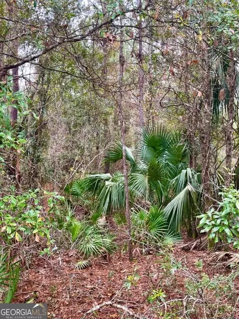 0 Highway 98, Perry, FL 32348 photo 8