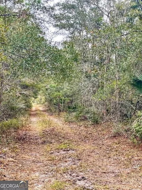0 Highway 98, Perry, FL 32348 photo 16