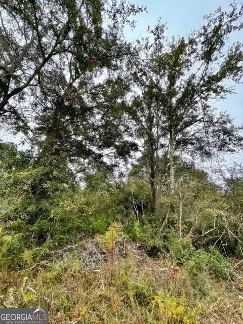 0 Highway 98, Perry, FL 32348 photo 14