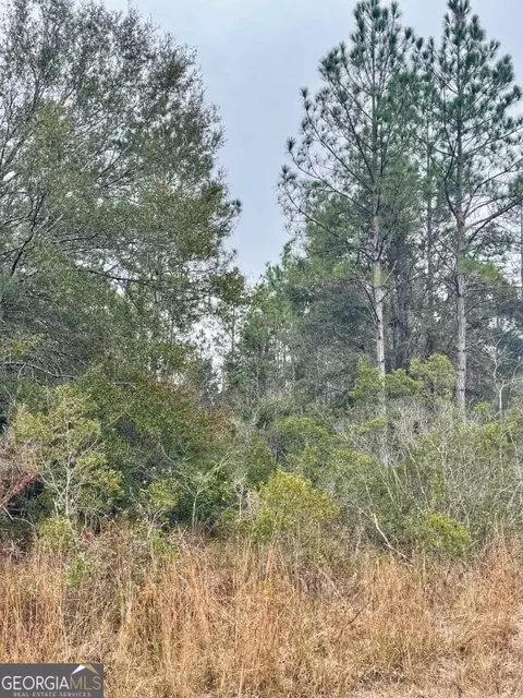 0 Highway 98, Perry, FL 32348 photo 13