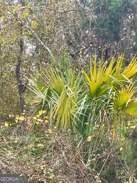 0 Highway 98, Perry, FL 32348 photo 15