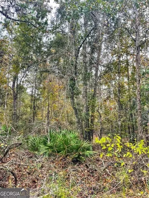 0 Highway 98, Perry, FL 32348 photo 2