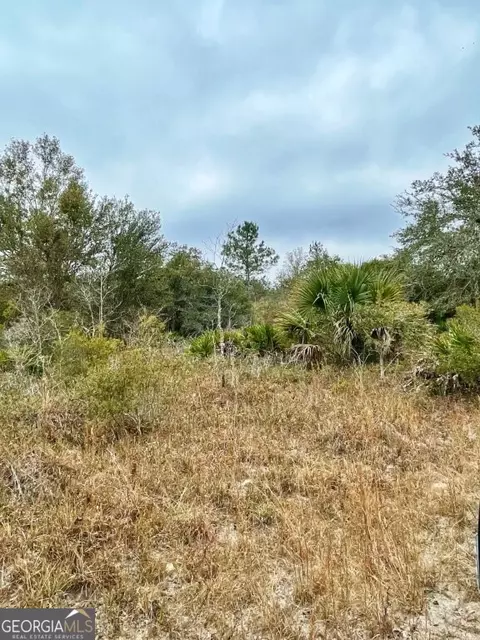0 Highway 98, Perry, FL 32348 photo 5