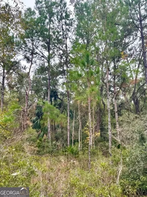0 Highway 98, Perry, FL 32348 photo 6