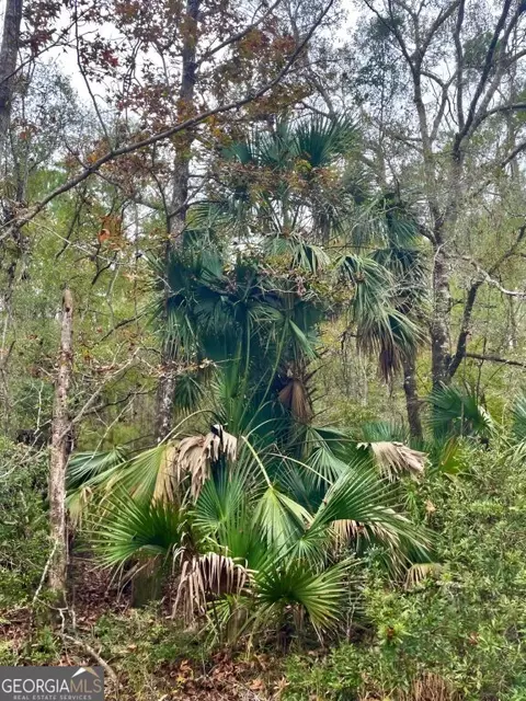 0 Highway 98, Perry, FL 32348 photo 7