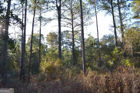0 Sandpiper Ln #TRACT 2, Swainsboro, GA 30401