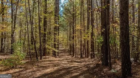 0 Jones Ferry Rd #1, Chattahoochee Hills, GA 30268