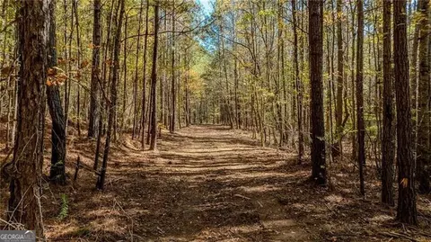 0 Jones Ferry Rd #2, Chattahoochee Hills, GA 30268