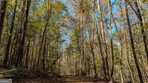 0 Jones Ferry Rd #3, Chattahoochee Hills, GA 30268