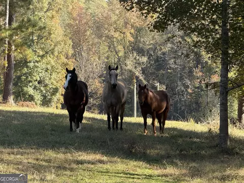 96 Acres Roosevelt Hwy, Warm Springs, GA 31830