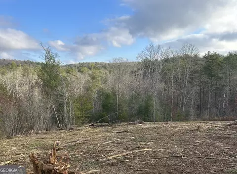 Lt37 Blue Creek Road, Morganton, GA 30560