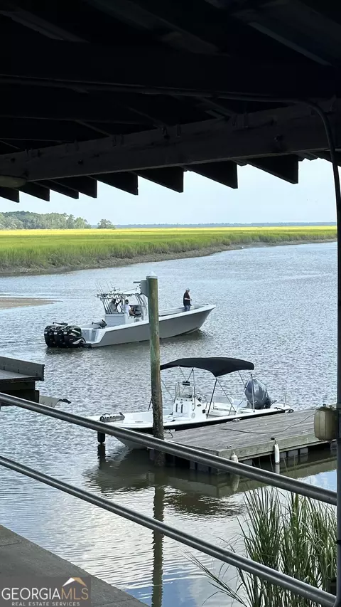 0 Pelican Perch Dr, Townsend, GA 31331 photo 7