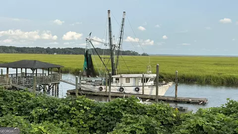 0 Pelican Perch Dr, Townsend, GA 31331 photo 2
