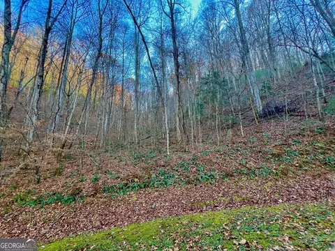 22 Walkers Rdg, Mineral Bluff, GA 30559