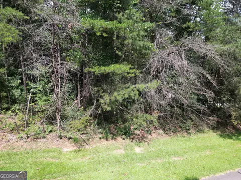 lot21 Deer Chase Rd, Toccoa, GA 30577 photo 5