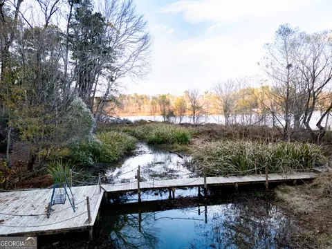View/Area - 458 Haley Rd, Jackson, GA 30233 photo 4 of 18