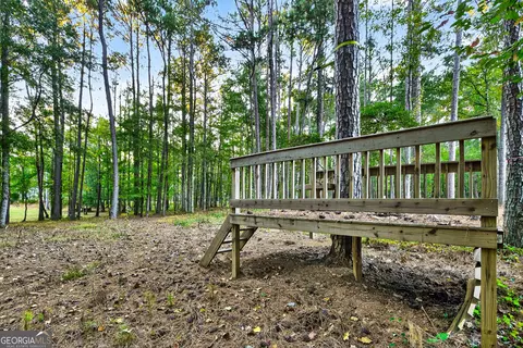 Other - 385 Huckaby Rd, Brooks, GA 30205 photo 19 of 20