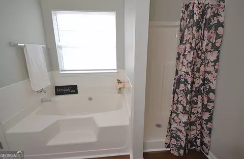 Bath - 916 Brisley Cir, Hampton, GA 30228 photo 5 of 7