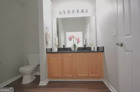 Bath - 916 Brisley Cir, Hampton, GA 30228 photo 4 of 7