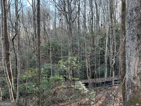 0 Forest Canopy Way #LOT 8, Clayton, GA 30525