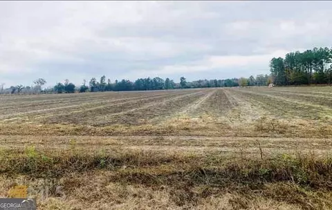 0 Pw Clifton Rd, Brooklet, GA 30415