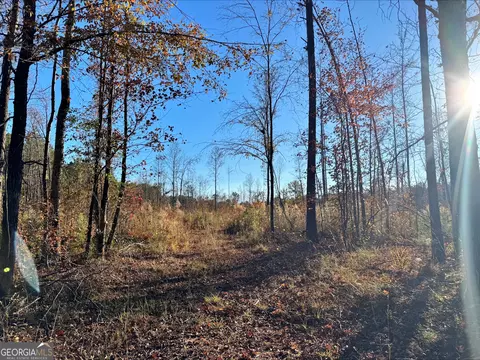 0 County Rd 222, Lanett, AL 36863
