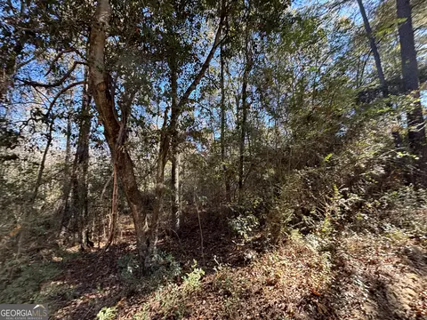 Parcel Julian Simpson Road, Cochran, GA 31014