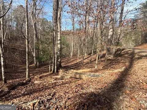 Lt 727 Armor Court, Ellijay, GA 30540
