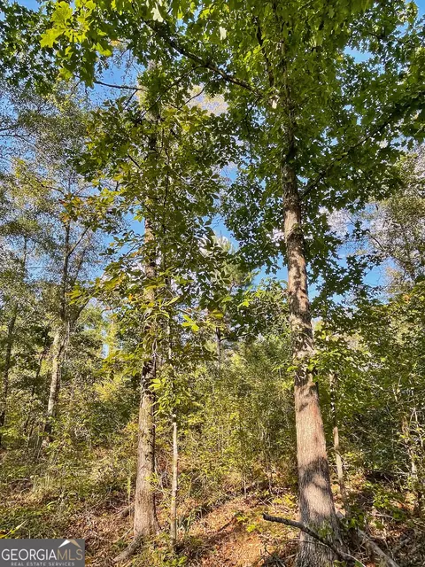 0 S Highway 36, Jackson, GA 30233