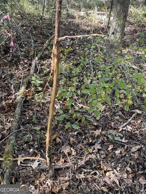 0 S Highway 36, Jackson, GA 30233 photo 8